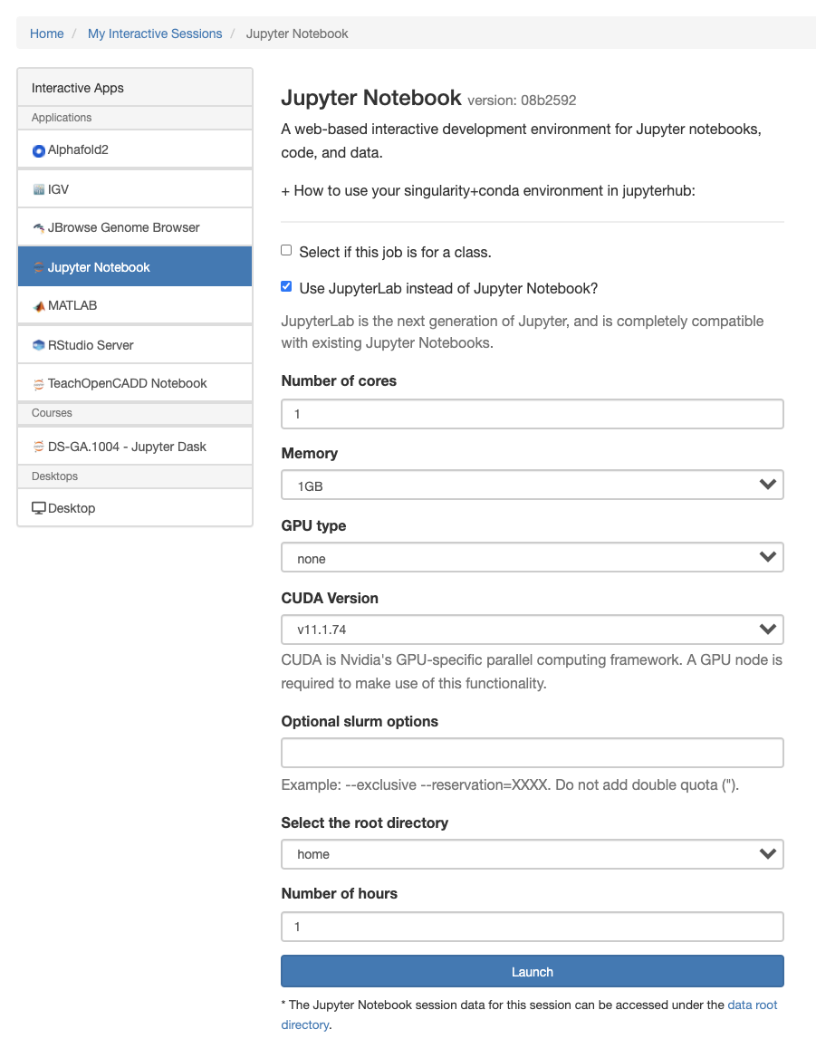 OOD Jupyter Session